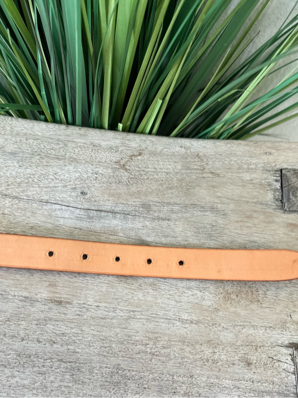 Crescent Wild Alligator Leather Belt with Gold Buckle - Picture 9 of 9